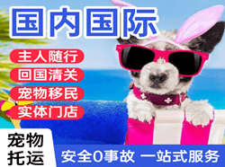 集宁机场物流国际宠物托运 【国
